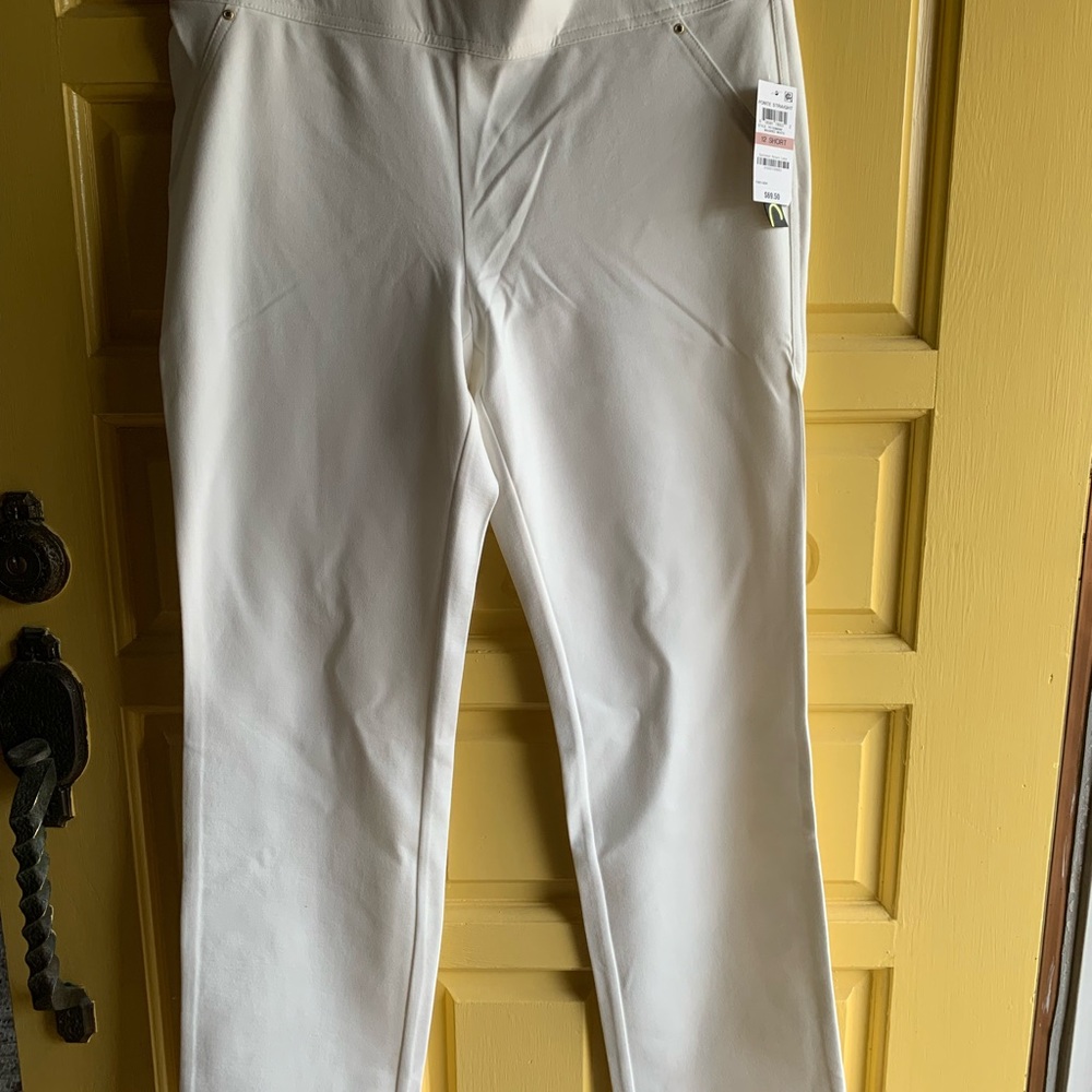 Macys - Inc Ponte Straight legged pants.   Elastic waist.